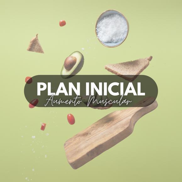 Plan Inicial- Aumento de Masa Muscular